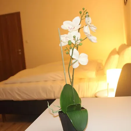 Vecsesi Rendezvenykoezpont Es Panzio Bed & Breakfast